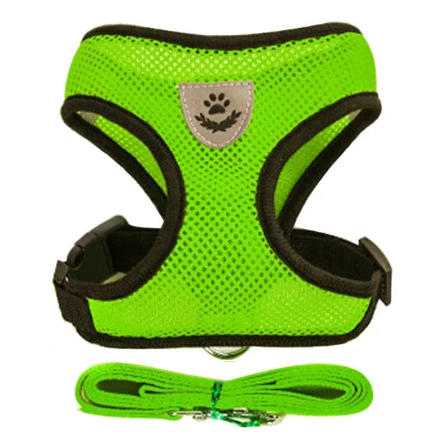 Adjustable Cat/Dog Harness & Leash Set — Safe, Comfortable Outdoor Walking Vest
