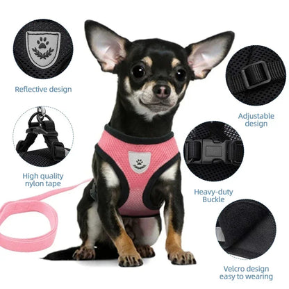 Adjustable Cat/Dog Harness & Leash Set — Safe, Comfortable Outdoor Walking Vest
