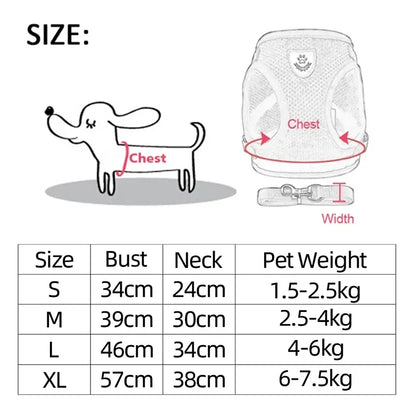 Adjustable Cat/Dog Harness & Leash Set — Safe, Comfortable Outdoor Walking Vest