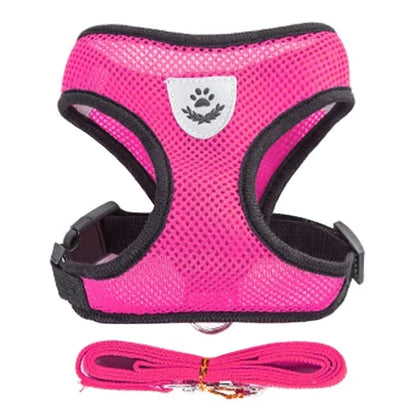 Adjustable Cat/Dog Harness & Leash Set — Safe, Comfortable Outdoor Walking Vest