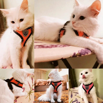 Adjustable Cat/Dog Harness & Leash Set — Safe, Comfortable Outdoor Walking Vest