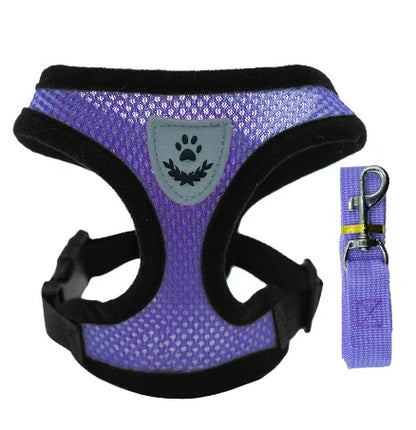 Adjustable Cat/Dog Harness & Leash Set — Safe, Comfortable Outdoor Walking Vest