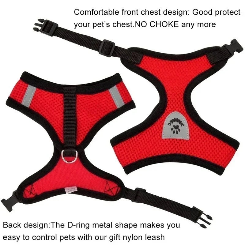 Adjustable Cat/Dog Harness & Leash Set — Safe, Comfortable Outdoor Walking Vest