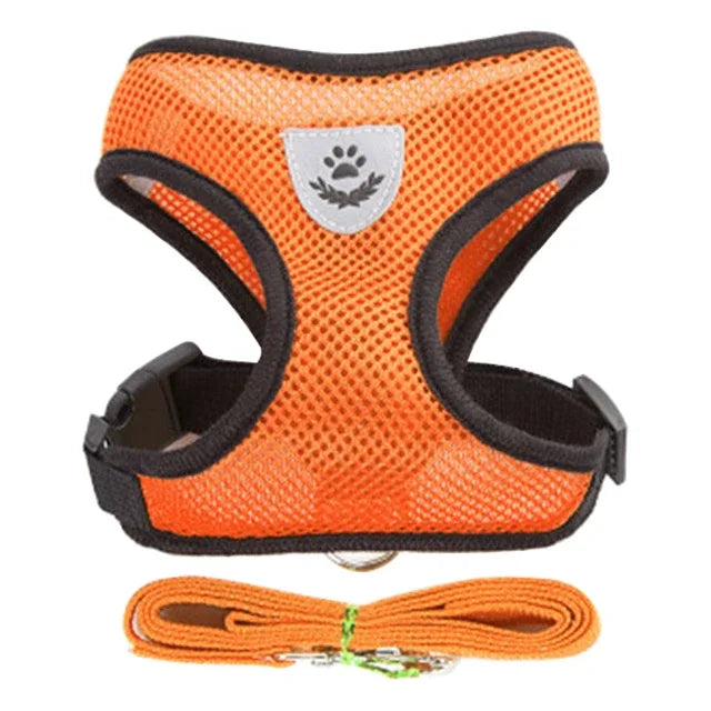 Adjustable Cat/Dog Harness & Leash Set — Safe, Comfortable Outdoor Walking Vest