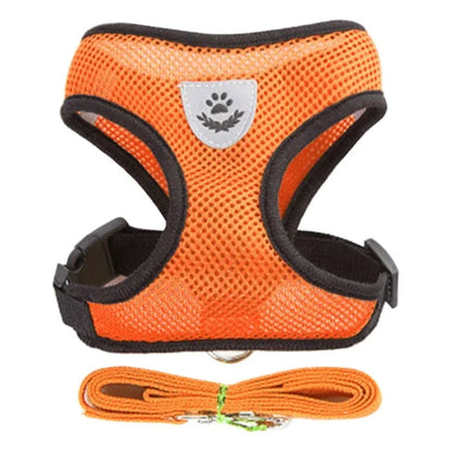 Adjustable Cat/Dog Harness & Leash Set — Safe, Comfortable Outdoor Walking Vest