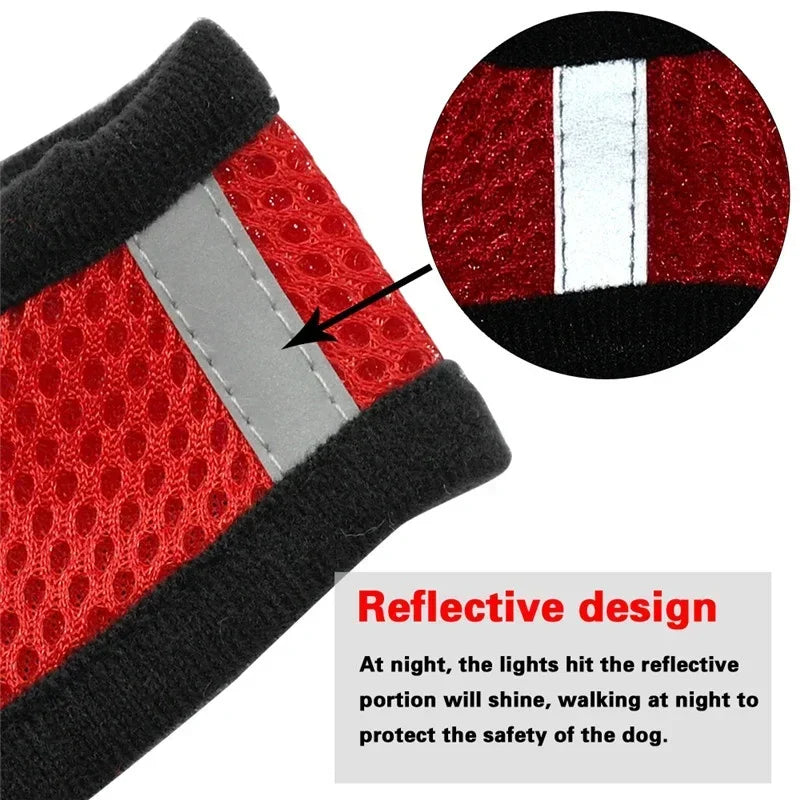 Adjustable Cat/Dog Harness & Leash Set — Safe, Comfortable Outdoor Walking Vest