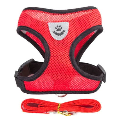 Adjustable Cat/Dog Harness & Leash Set — Safe, Comfortable Outdoor Walking Vest