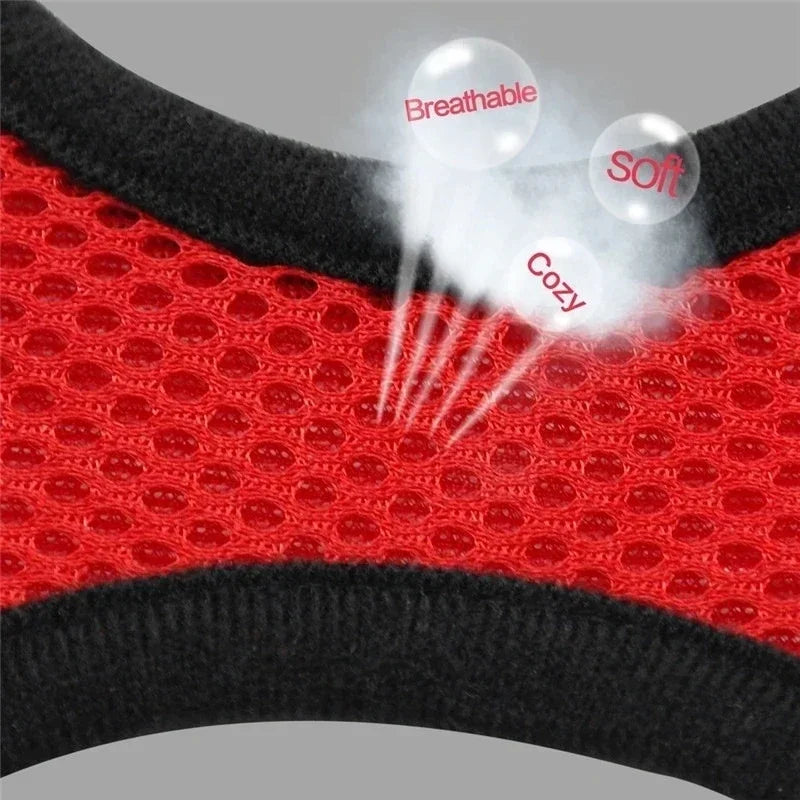 Adjustable Cat/Dog Harness & Leash Set — Safe, Comfortable Outdoor Walking Vest