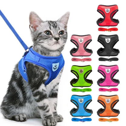 Adjustable Cat/Dog Harness & Leash Set — Safe, Comfortable Outdoor Walking Vest