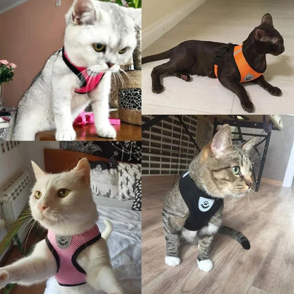 Adjustable Cat/Dog Harness & Leash Set — Safe, Comfortable Outdoor Walking Vest