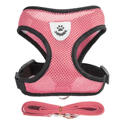 Adjustable Cat/Dog Harness & Leash Set — Safe, Comfortable Outdoor Walking Vest