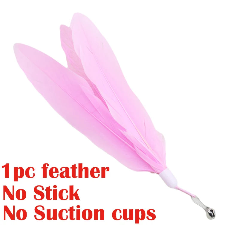 Interactive Cat Feather Toy — Suction Cup Wand for Hands-Free Play