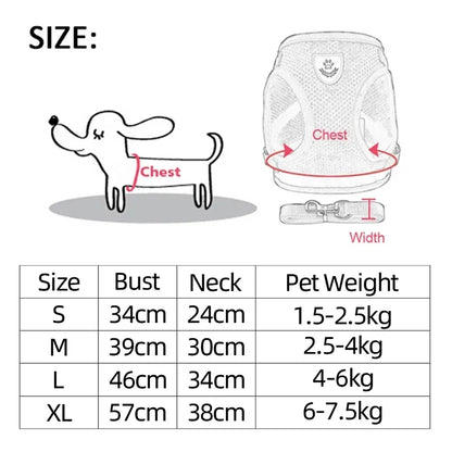 Adjustable Cat/Dog Harness & Leash Set — Safe, Comfortable Outdoor Walking Vest
